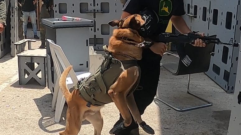 הכלב זילי, צילום דוברות המשטרה
