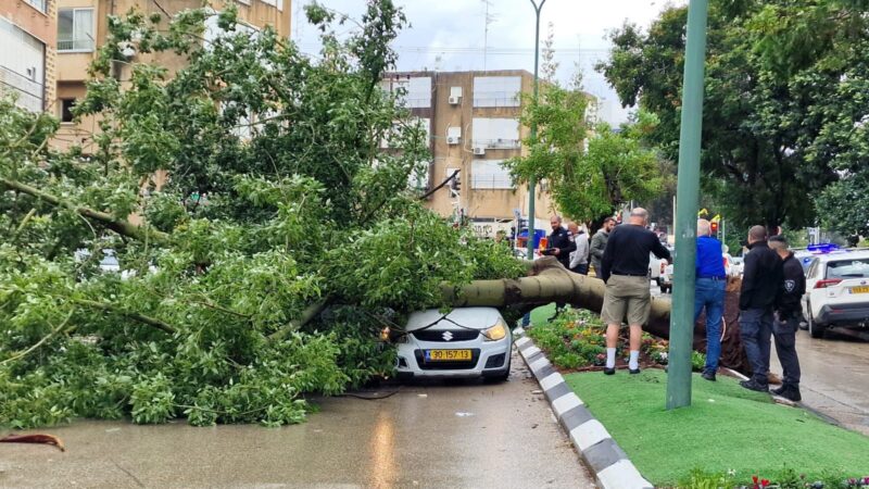 קריסת עץ על רכב ברחוב העצמאות, צילום פרטי